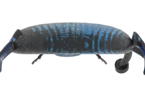 Beetle Modelo 3D