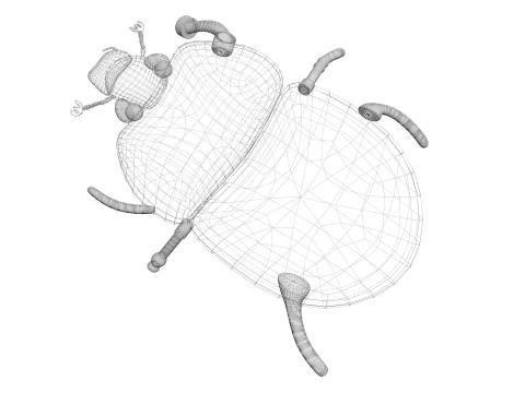 Жук 3D Модель