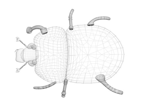Beetle Modelo 3D