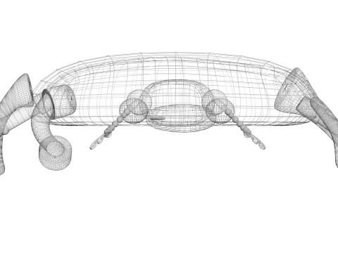 Beetle Modelo 3D