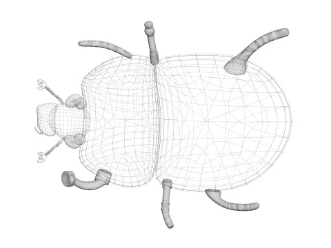 Beetle Modelo 3D