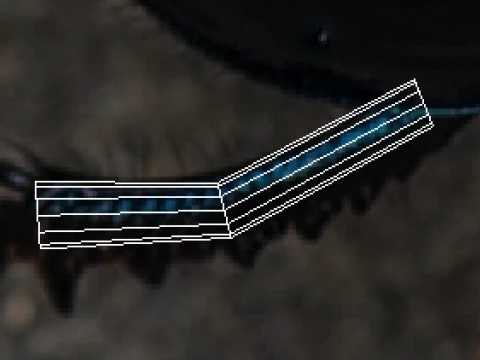 Жук 3D Модель