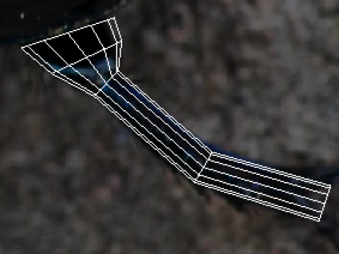 Жук 3D Модель