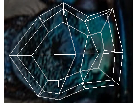 Жук 3D Модель