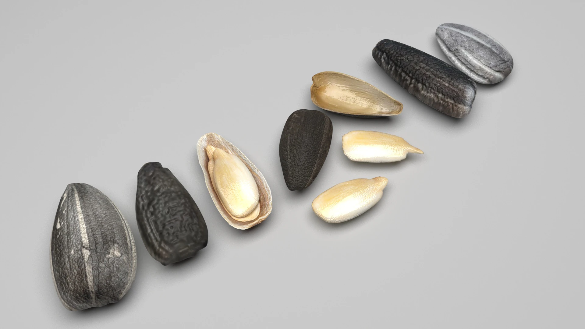 Sunflower Seeds Set 3D Model .c4d .max .obj .3ds .fbx .stl .blend