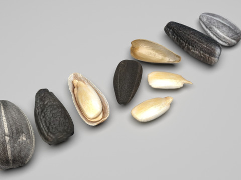 Sunflower Seeds Set Modelo 3D