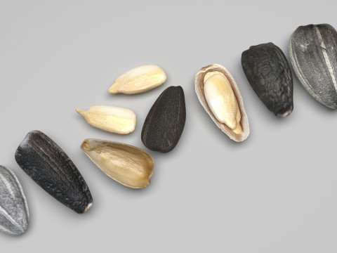 Sunflower Seeds Set Model 3D