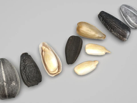 Sunflower Seeds Set 3D Model