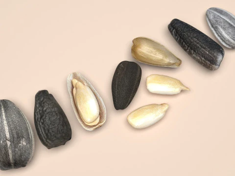 Sunflower Seeds Set 3D Model