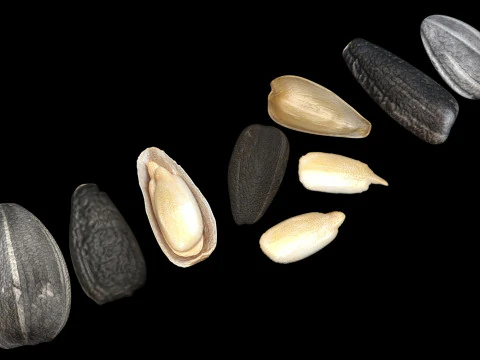 Sunflower Seeds Set 3D Model