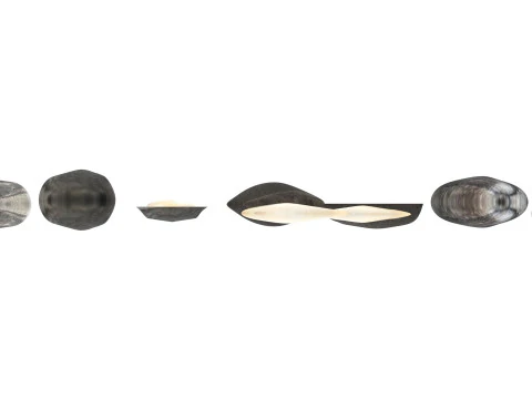 Sunflower Seeds Set 3D Model
