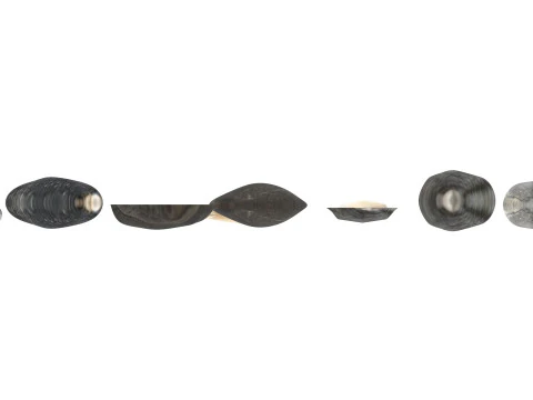 Sunflower Seeds Set 3D Model