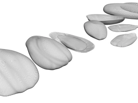 Sunflower Seeds Set 3D Model