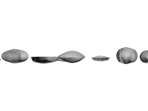 Sunflower Seeds Set Model 3D