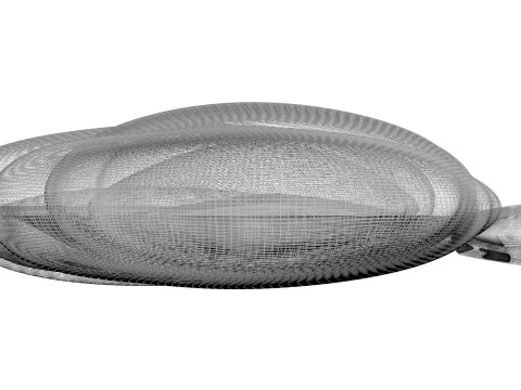 Sunflower Seeds Set 3D Model
