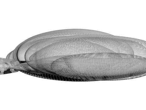 Sunflower Seeds Set 3D Model