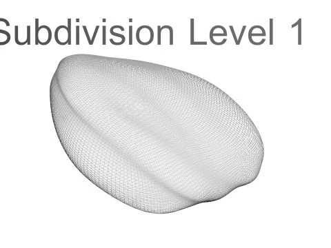 Sunflower Seeds Set 3D Model
