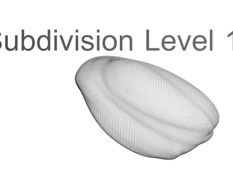 Sunflower Seeds Set 3D Model