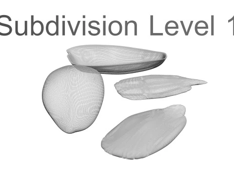 Sunflower Seeds Set 3D Model