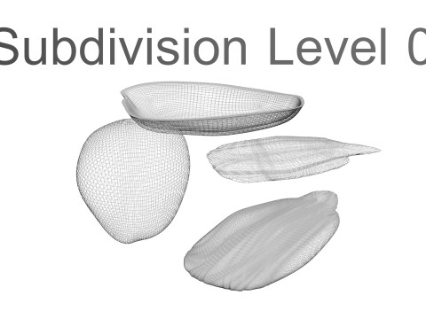Sunflower Seeds Set Model 3D