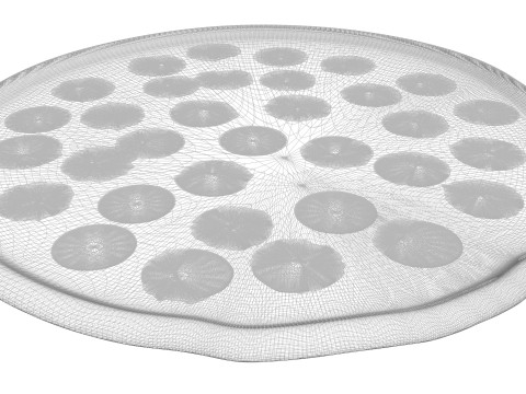 Pepperoni Pizza 3D Model