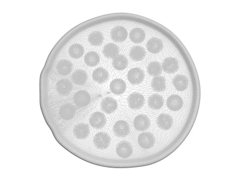 페퍼로니 피자 3D 모델