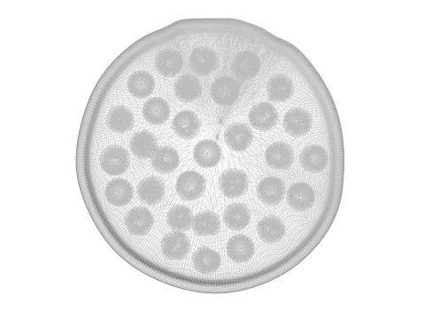 페퍼로니 피자 3D 모델