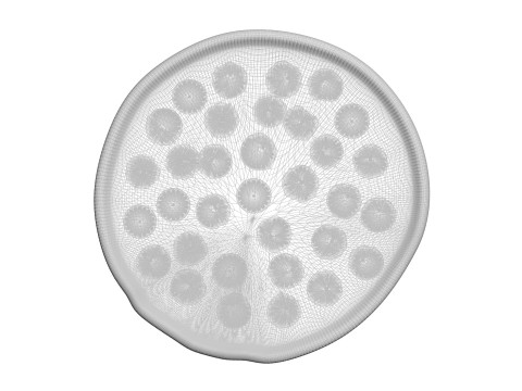 Pepperoni Pizza 3D Model