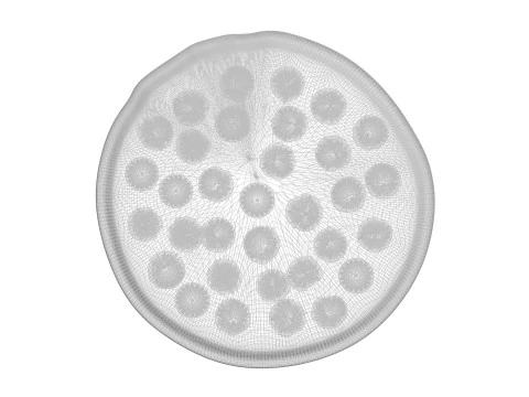 페퍼로니 피자 3D 모델