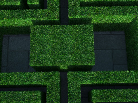 Rectangular Maze With Grasses 3D 模型