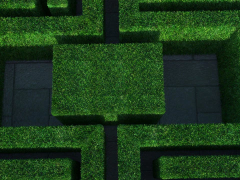 Rectangular Maze With Grasses 3D Model