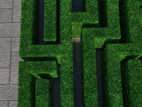 Rectangular Maze With Grasses 3D Model