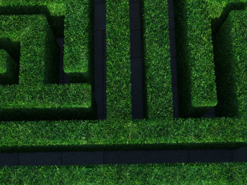Rectangular Maze With Grasses 3D 模型