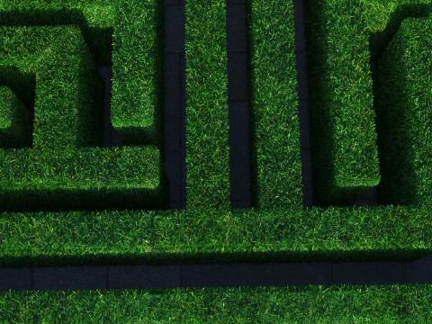 Rectangular Maze With Grasses 3D Model