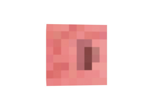 Minecraft Pig 3D 模型