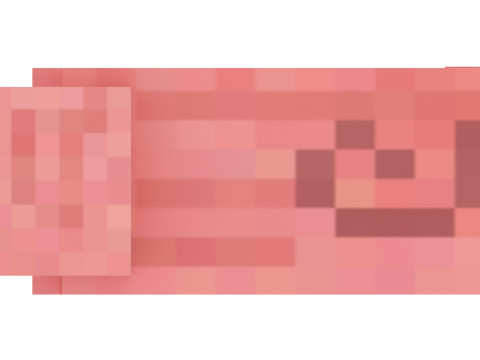 Minecraft Pig 3D 模型