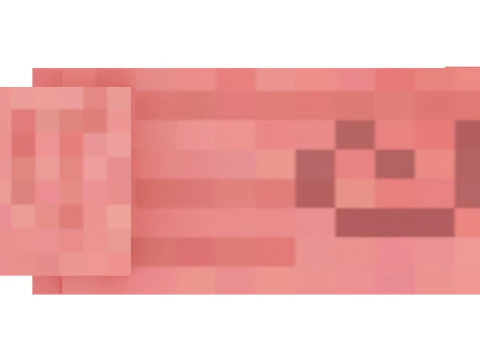 마인크래프트 돼지 3D 모델