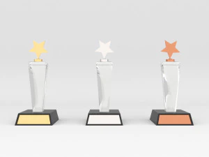 Award Prize 6 Trophies pack with 3 medal 3D Model