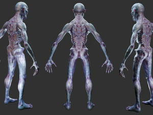 Mostro Ghoul -Low poly - Gioco pronto - Truccato Modello 3D