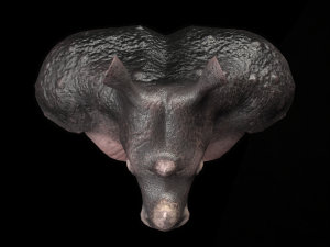 3d sculpted model 3D Model