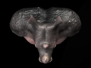 modelo esculpido en 3d Modelo 3D