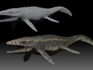 모사사우루스 3D 모델