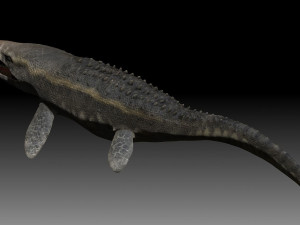 Mosasaurus 3D Model