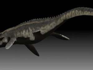 Mosasaurus 3D Model