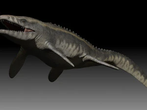 Mosasaurus 3D Model