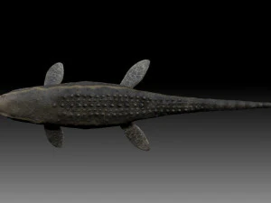 Mosasaurus 3D Model
