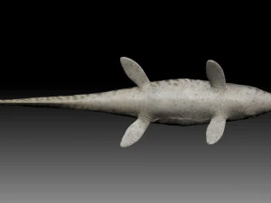 Mosasaurus 3D Model