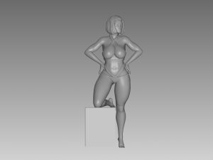 Woman 3D 프린트 모델