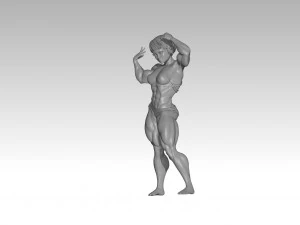 Woman 3D Print Model