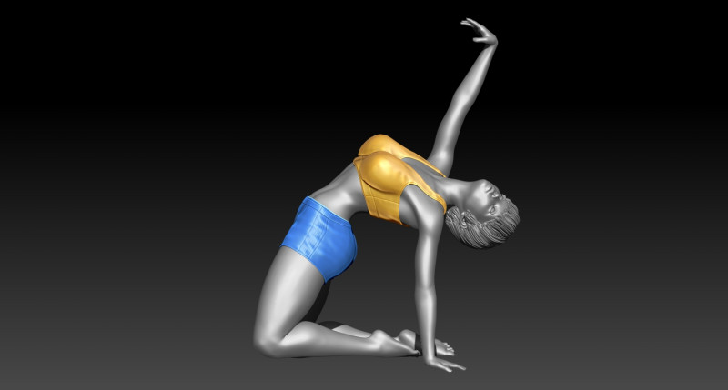 Woman 3D Baskı Modeli .c4d .max .obj .3ds .fbx .stl .blend